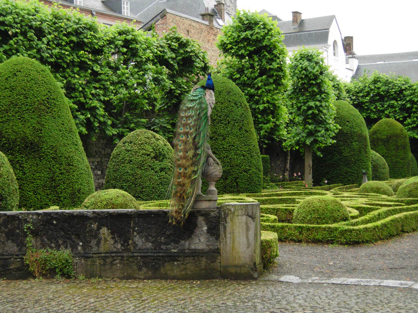 Le jardin avec son ancien muret ponctué d'un paon perché sur une statue.